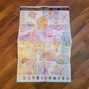 WALL CHART Physiological Interactions 21x32 8 Fold-out Panels1989 poster Tub11